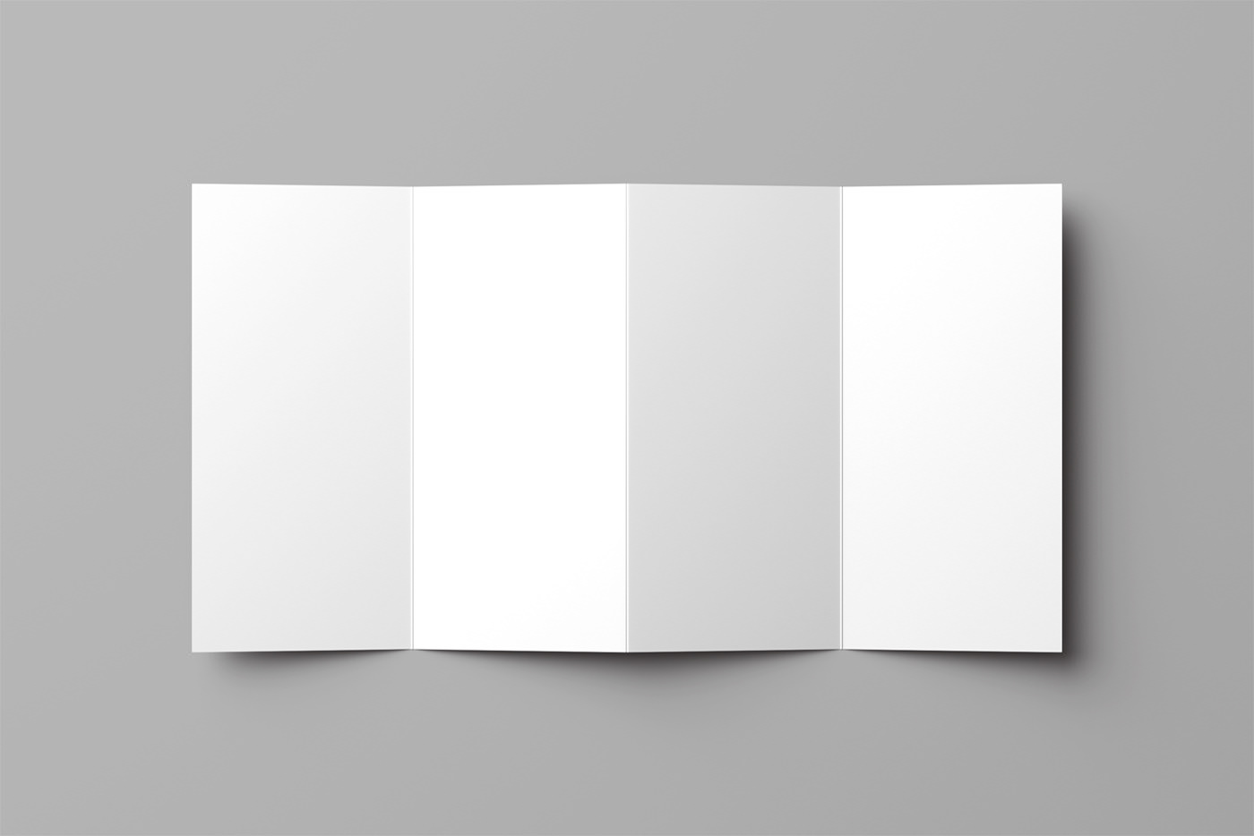 Буклет Гармошка 